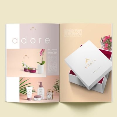 Brochure, Catalogue, Kỷ yếu